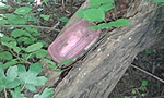 20160807_101927