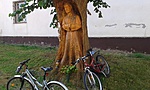 20160829_091248