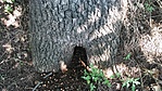 20160820_150131