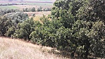 20160820_150548