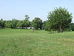 DSCF8933