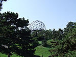 DSCF8964