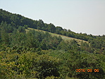 Panoráma-8
