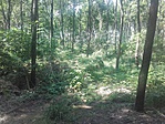 20160729_141646