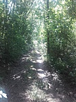20160729_141659
