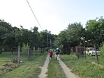 IMG_6402