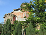 IMG_6407