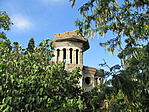 IMG_6412