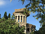 IMG_6415