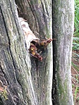 IMG_3496