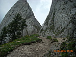 DSCN3005