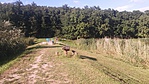 20160813_174451