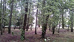 20160817_115529