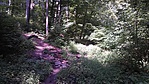 20160819_114711