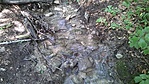 20160819_114457