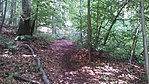 20160819_114929