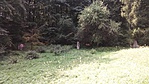 20160819_115510