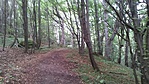 20160819_133922