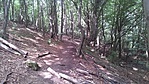 20160819_134107