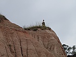 IMG_6946