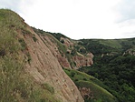 IMG_6943