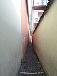 IMG_7537