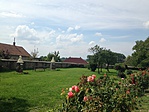 IMG_7256