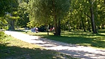 WP_20160807_11_49_11_Pro