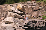 és egy fura figura