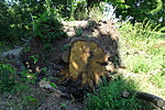 DSC03458