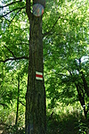 DSC03461