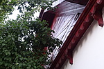 DSC03558