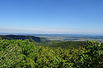 DSC04169