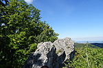 DSC04174
