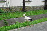 DSC04037