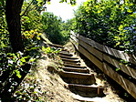 DSCF0234