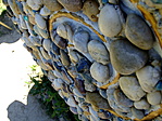 DSCF0165