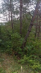 20160730_115052