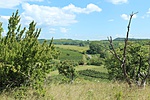 IMG_4648