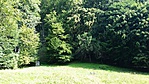 20160814_092940