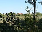 P1240951