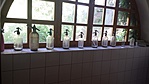 20160820_153540