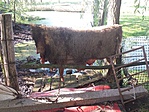20160820_163857