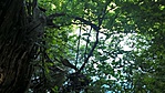 14037944_1500106630014938_1908345182_o