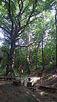 WP_20160819_010