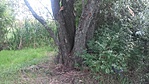 20160821_114310
