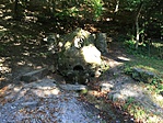 IMG_6350