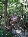 DSC09927