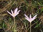 DSCF9165