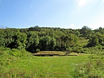 IMG_4013